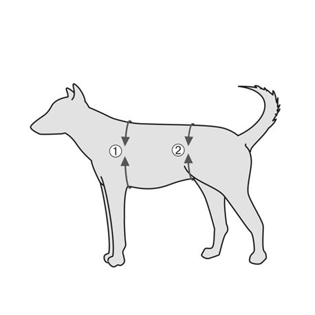Imbracatura di sostegno per cani - L 3