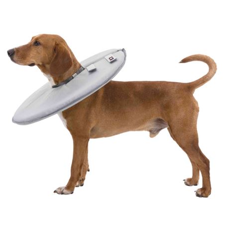 Collare di protezione per cani - grandezza - S 2