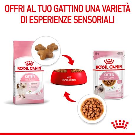 ROYAL CANIN Kitten Gravy - Alimento umido per gatti - 12 x 85g 3