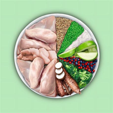AMANOVA Adult OBESITY AB Turkey Delight - 2kg 2
