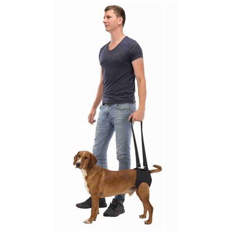 Imbracatura di sostegno per cani - XL 3