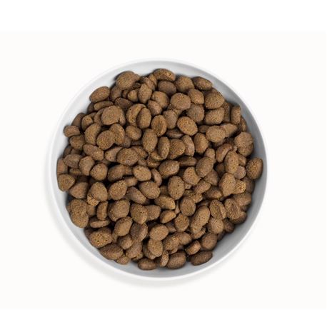 CANAGAN Country Game 12kg + confezione biscotti gratuita 2