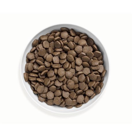 CANAGAN Scottich Salmon 6kg 2