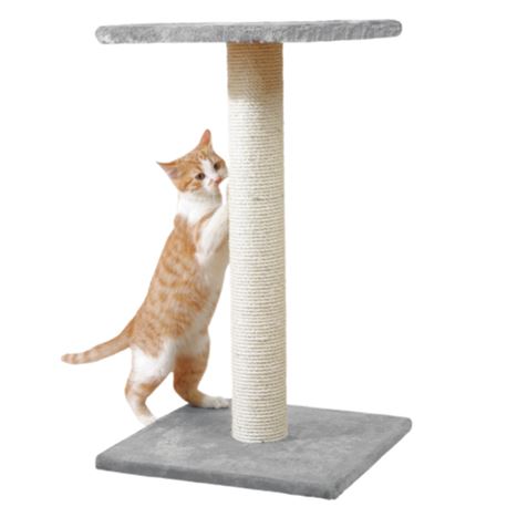 Tiragraffi BAENA - Grigio - 69 cm 2