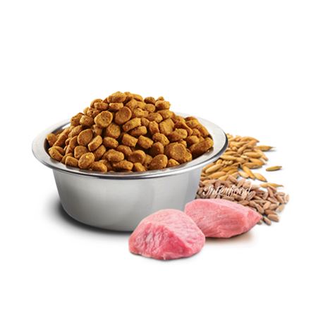 FARMINA N&D Ancestral Grain - CHICKEN & POMEGRANATE ADULT  Medium/Maxi - 12kg 2