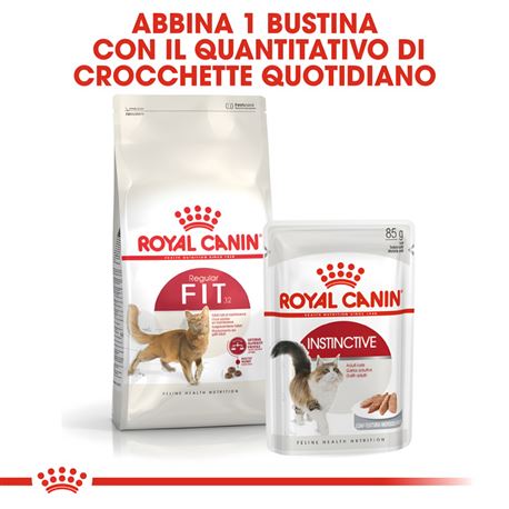 ROYAL CANIN Regular Fit 32 - Crocchette per gatti - 400g 3