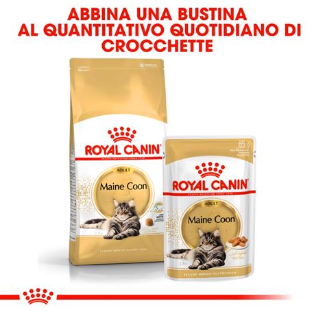 ROYAL CANIN Maine Coon Gravy - Alimento umido per gatti - 12 x 85g 3
