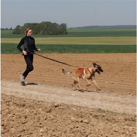 Imbracatura per cani KYFLIE OTIUM Rossa - T6 2