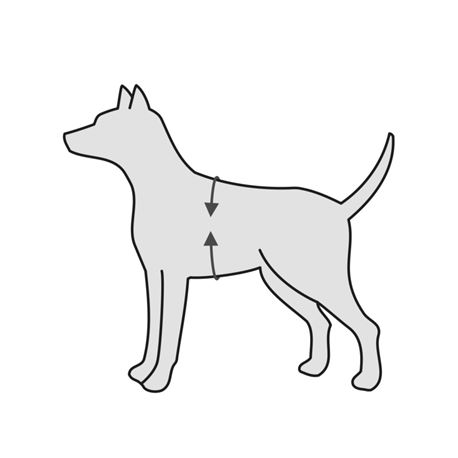 Imbracatura di sostegno a fascia per cani - M 3