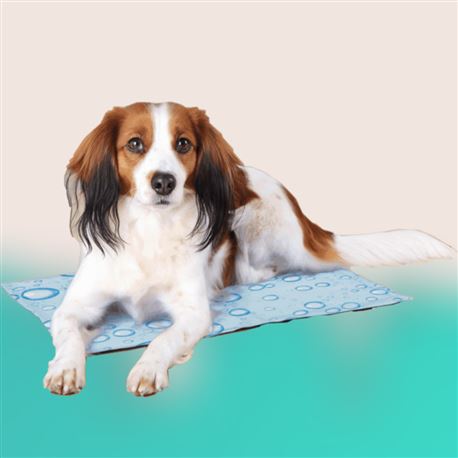 Tappetino rinfrescante per cani - 50 x 40 cm 2
