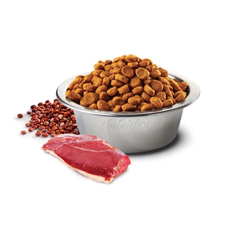 FARMINA N&D QUINOA - SKIN & COAT DUCK - Mini - 800g 2