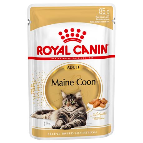 ROYAL CANIN Maine Coon Gravy - Alimento umido per gatti - 12 x 85g 1