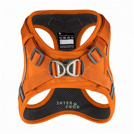 DOG Copenhagen - Imbracatura Comfort Walk Go - S - Arancione 2