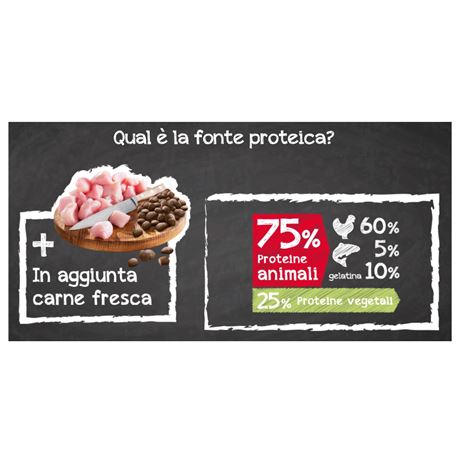 BELCANDO Junior Maxi - 12.5kg 2