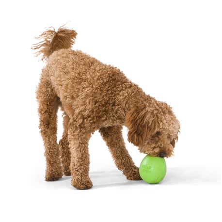WestPaw Rumbl Small Verde - gioco per cani 2