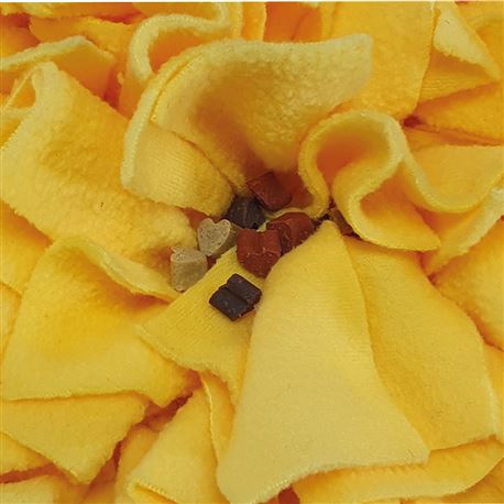 Tappetino da annusare - BONE - 70x50cm 2