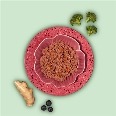 AMANOVA Adult Turkey Delight - 300g 2