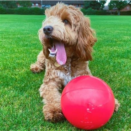 Boomer Ball - 15cm 3