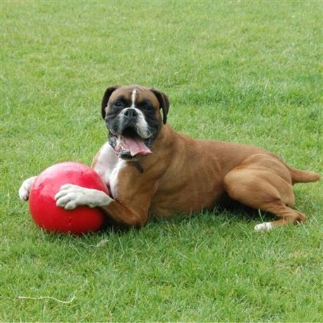 Boomer Ball - 20cm 3