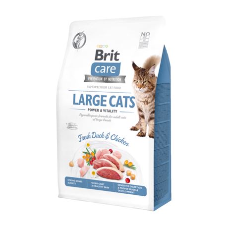 Brit Care Cat Grain-Free Large Cats Power and Vitality - 2kg