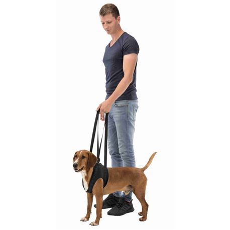 Imbracatura di sostegno per cani - L 2