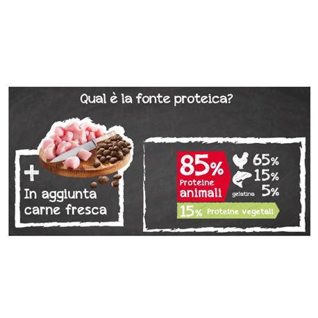 BELCANDO Adult Power - 12.5kg 2