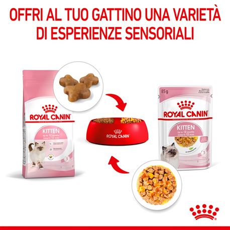 ROYAL CANIN Kitten Jelly - Alimento umido per gatti - 12 x 85g 3