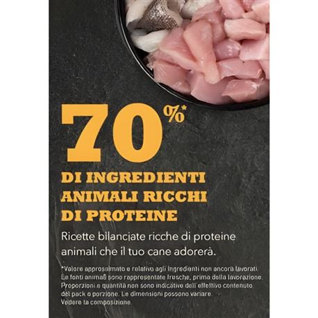 ACANA PUPPY RECEPIE - 2 kg 2