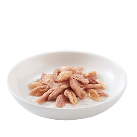 Schesir in Jelly - Tonnetto con Salmone - 20 x 85g 2