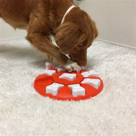 Dog Smart di Nina Ottosson - Livello 1 2