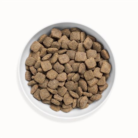 CANAGAN Grass-Fed Lamb 12kg + biscotti gratuiti 2
