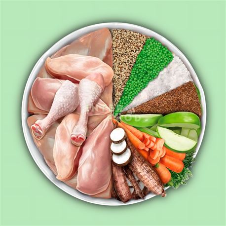 AMANOVA Puppy Large LG Exquisite Chicken - 12kg 2
