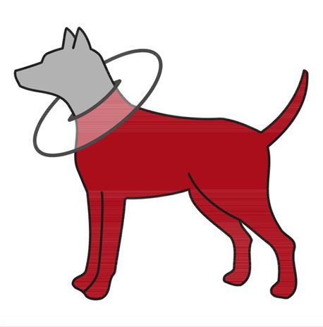 Collare di protezione per cani - grandezza - L-XL 2