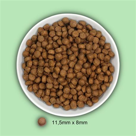 AMANOVA Puppy Large LG Exquisite Chicken - 12kg 3