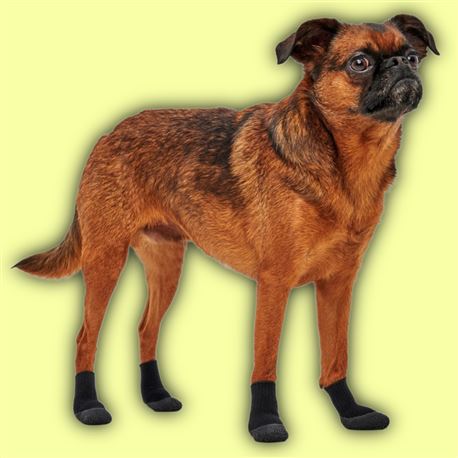 Stivaletti per cani Goo-eez Lites - M - 4pz 3
