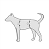 Imbracatura di sostegno per cani - L gallery 3