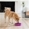 Outward Hound Purple - ciotola anti ingozzamento gallery 2