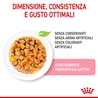 ROYAL CANIN Kitten Jelly - Alimento umido per gatti - 12 x 85g gallery 2