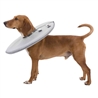 Collare di protezione per cani - grandezza - S gallery 2