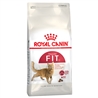 ROYAL CANIN Regular Fit 32 - Crocchette per gatti - 400g gallery 1