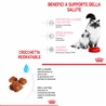 Royal Canin Mother & Babycat - crocchette per gatti - 400g gallery 2