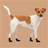 Stivaletti per cani Goo-eez Lites - 2XS - 4pz gallery 2