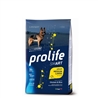 PROLIFE Smart Adult Chicken & Rice - Medium/Large - 2.5kg gallery 1