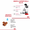 Royal Canin Mother & Babycat - crocchette per gatti - 2kg gallery 2