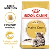 ROYAL CANIN Maine Coon Gravy - Alimento umido per gatti - 4 x (12 x 85g) gallery 2
