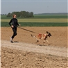 Imbracatura per cani KYFLIE OTIUM Rossa - T6 gallery 2