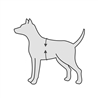 Imbracatura di sostegno a fascia per cani - M gallery 3