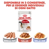 ROYAL CANIN Instinctive Gravy - Cibo umido per gatti - 4 x (12 x 85g) gallery 3