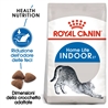ROYAL CANIN Indoor - Crocchette per gatti - 400g gallery 2