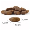 PLATINUM Adult Lamb + Rice - 15kg gallery 2